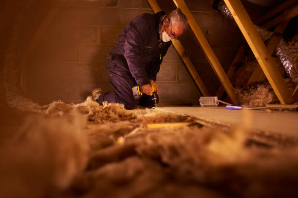 Best Garage Insulation Installation  in Audubon, IA